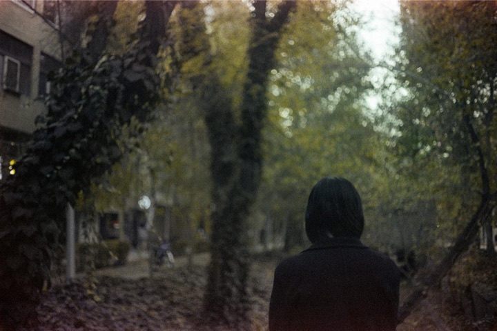 Someone walking away down an autumn street under tall, ivy-covered trees